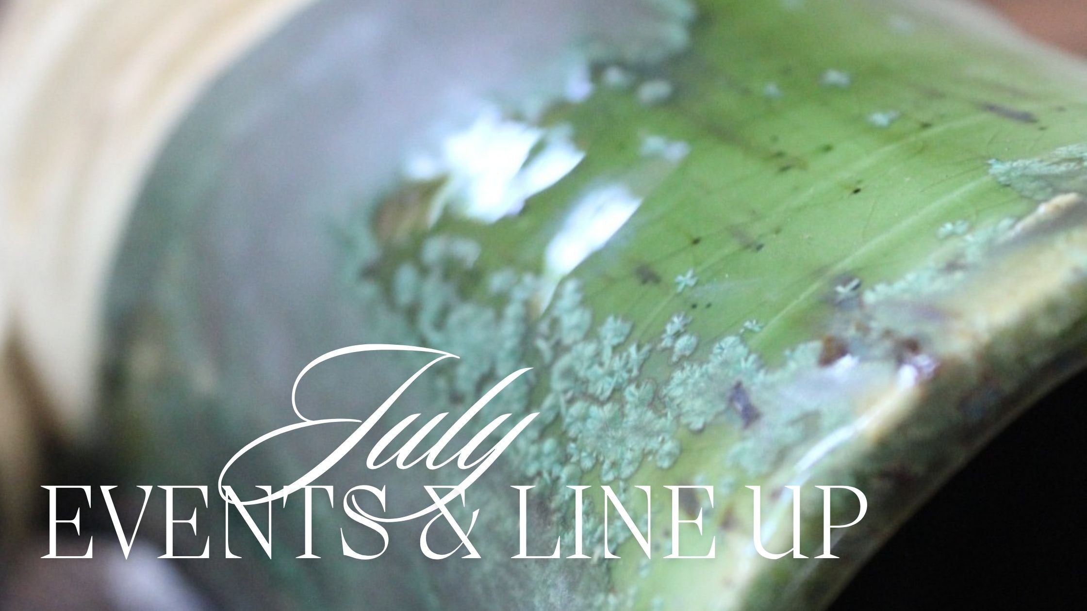 July Events & Line Up