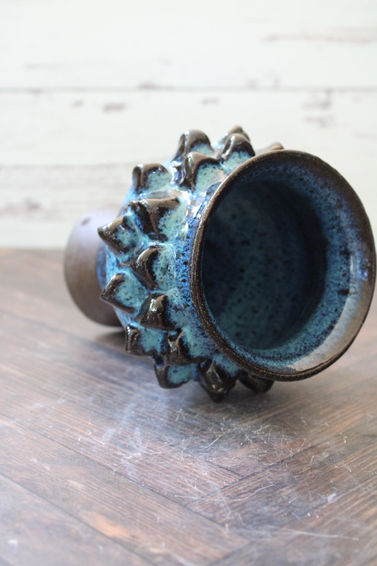 Bioluminance Urchin Vessel