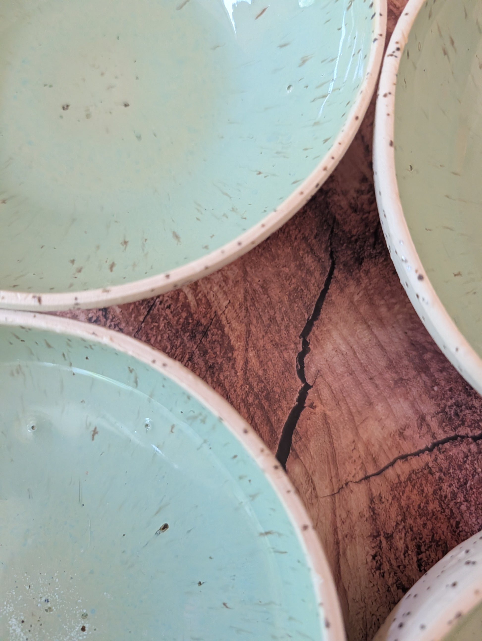 6 inch Sea Foam Plates