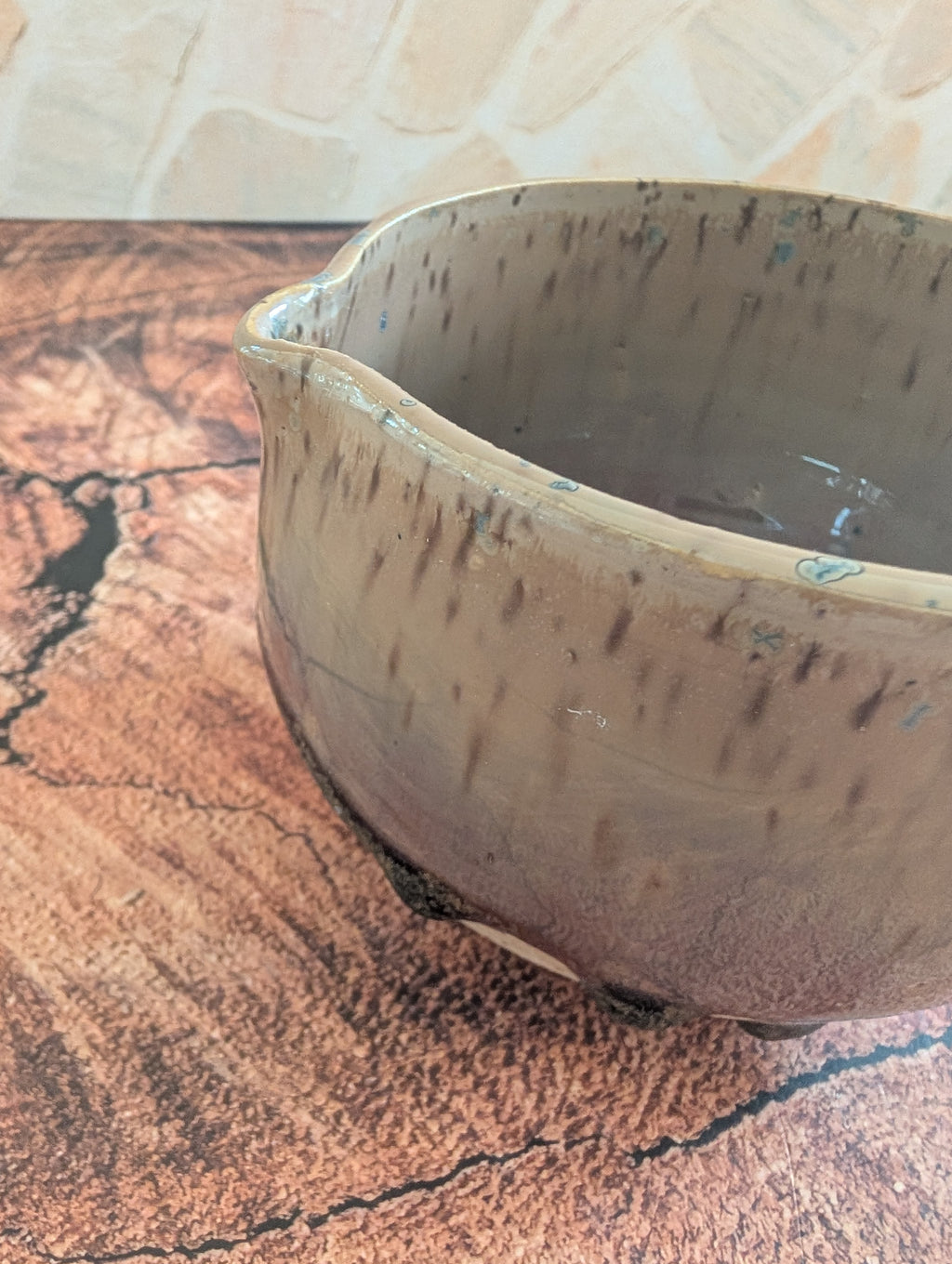 Matcha Bowl Rover