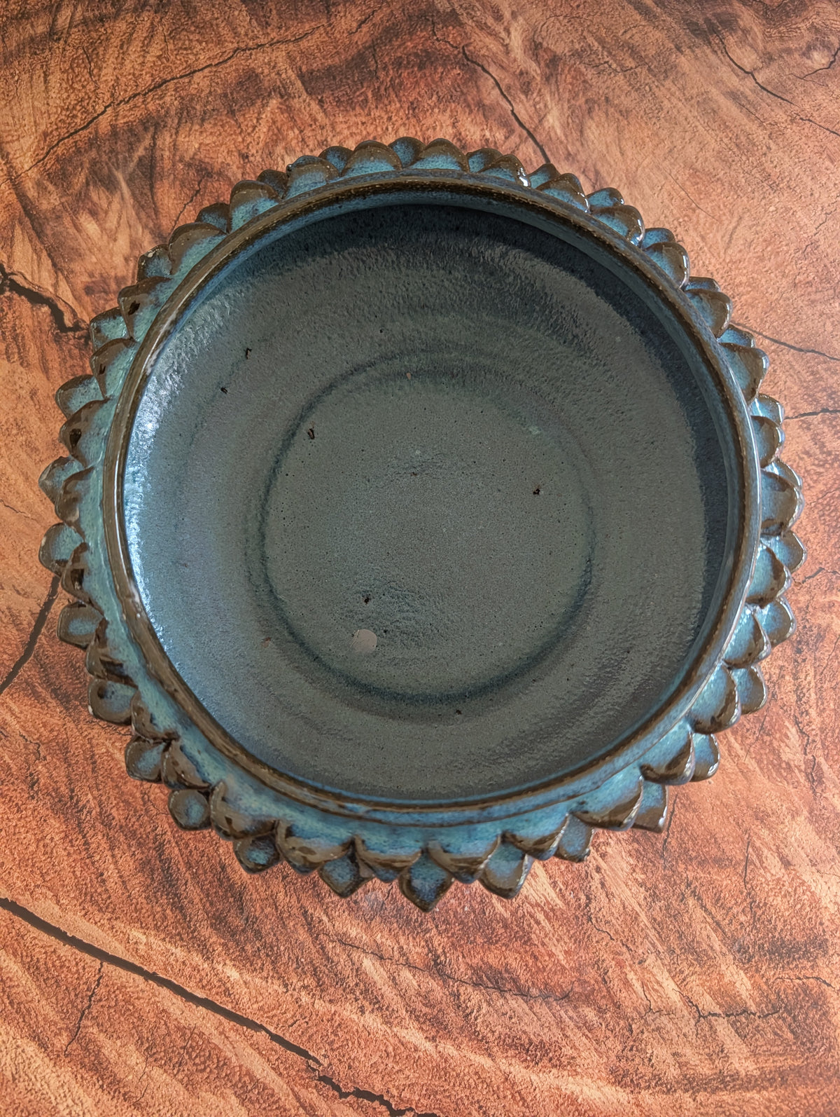 Flat Bio Luminescent Vessel #1