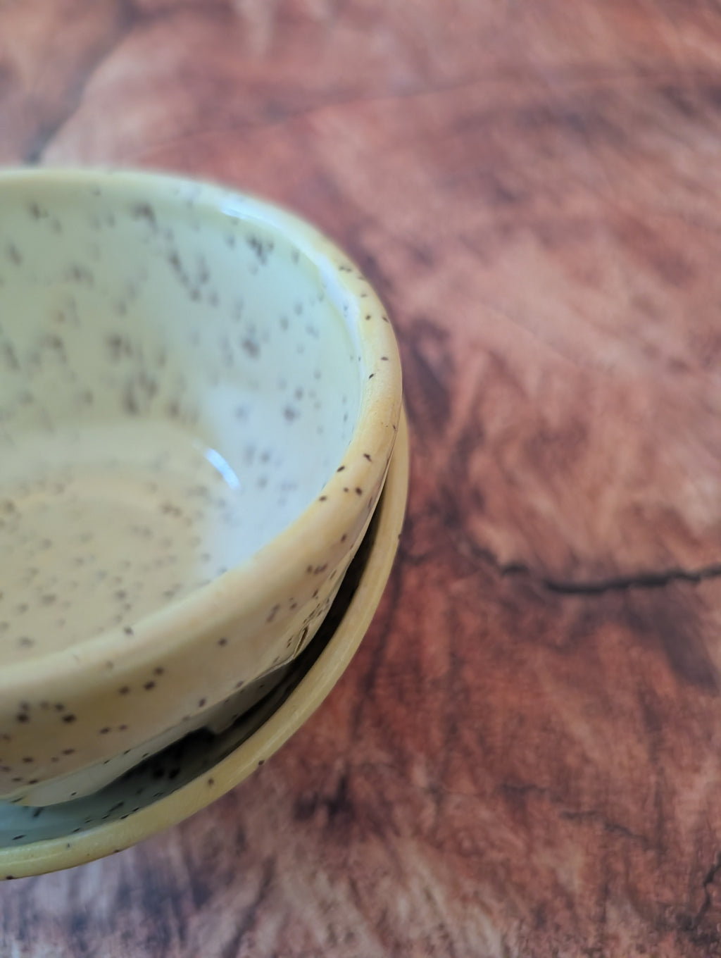 Canary Rocks Making Ceramics Set