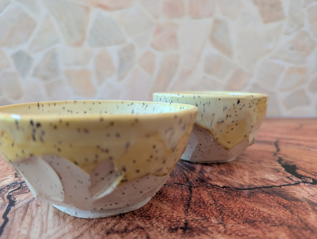 Canary Rocks Making Ceramics Set