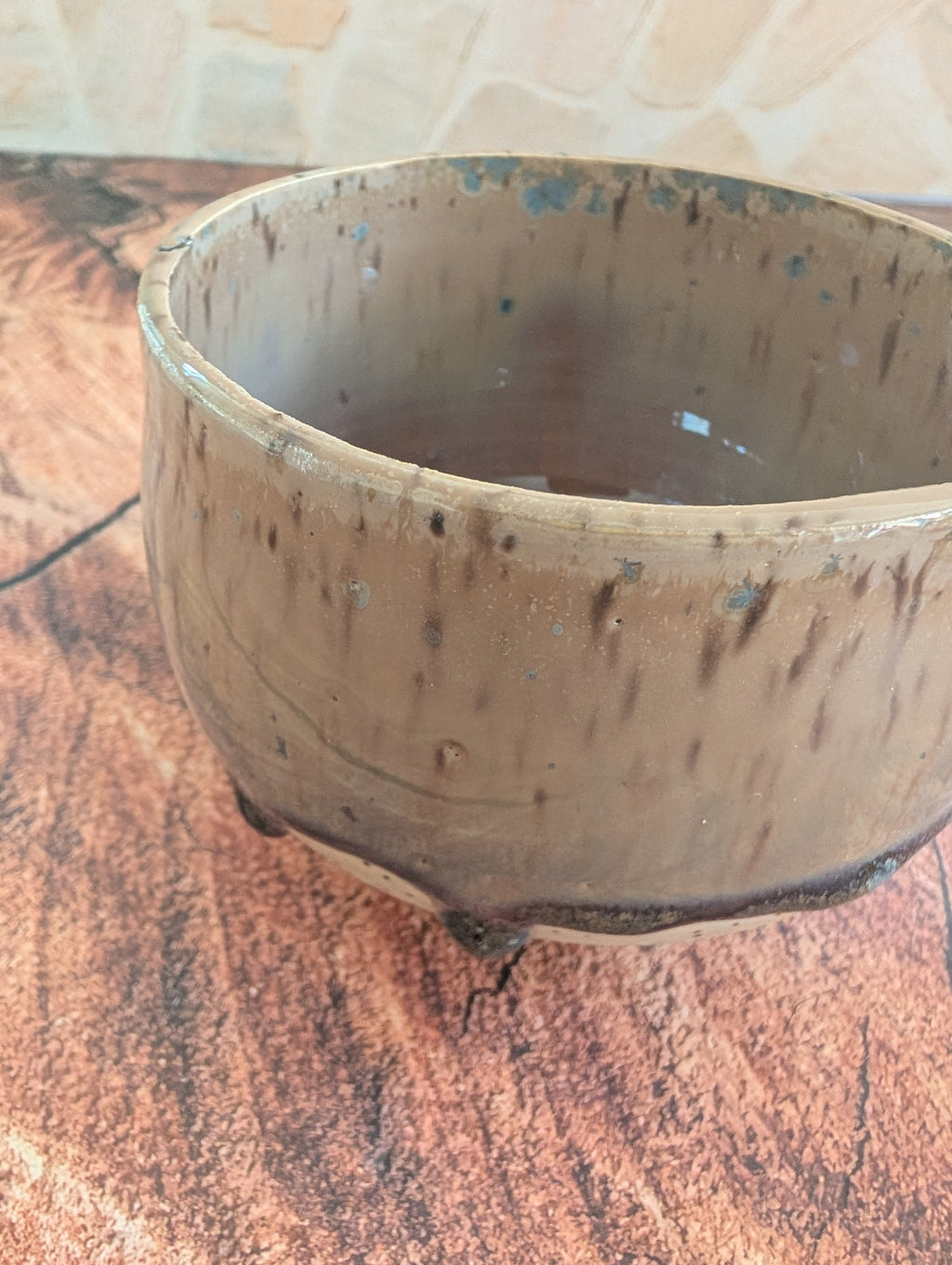 Matcha Bowl Rover