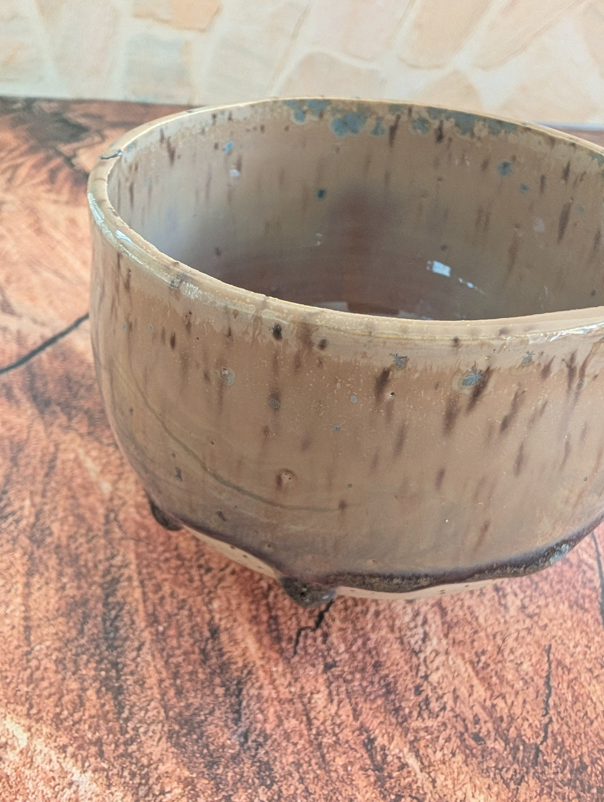 Matcha Bowl Rover
