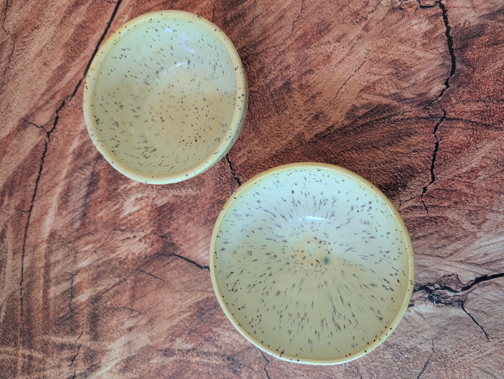 Canary Rocks Making Ceramics Set
