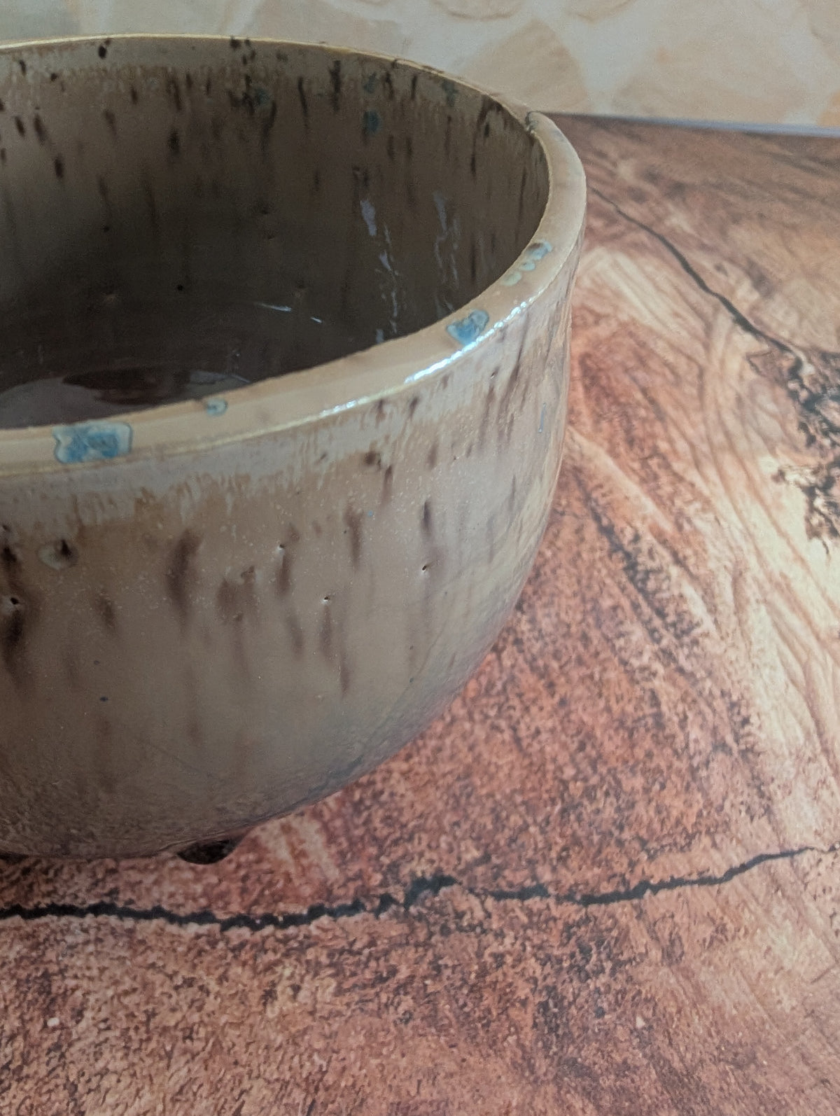 Matcha Bowl Rover