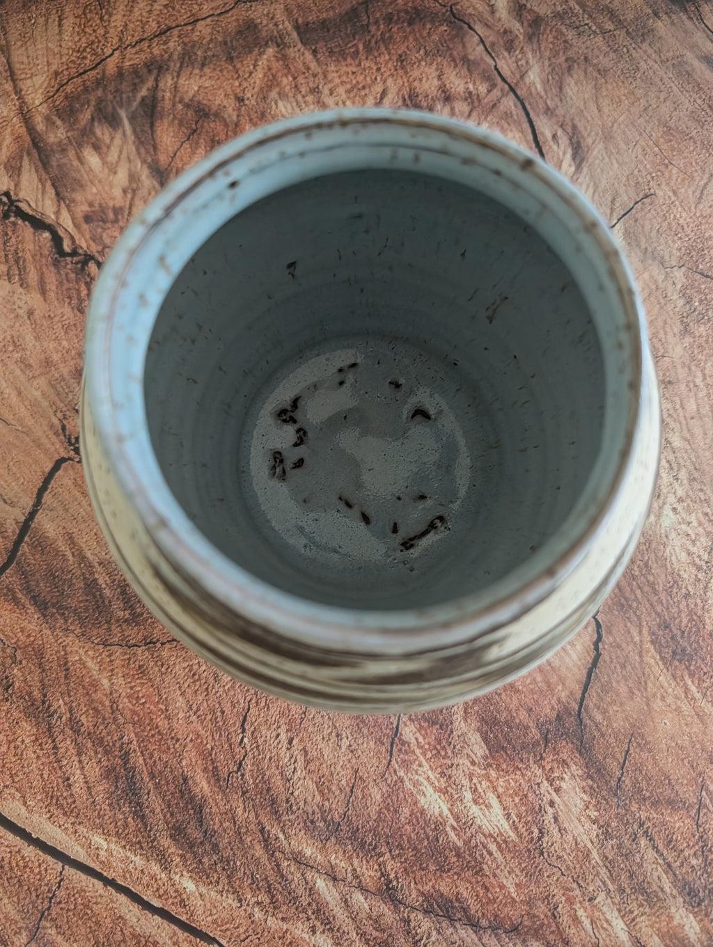 Marbled Earl Grey Vessel